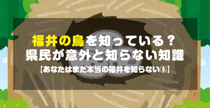 福井の鳥を知っている?県民が意外と知らない知識【あなたはまだ本当の福井を知らない③】