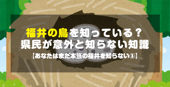 福井の鳥を知っている 県民が意外と知らない知識 あなたはまだ本当の福井を知らない フクブロ 福井のワクワク発見サイト