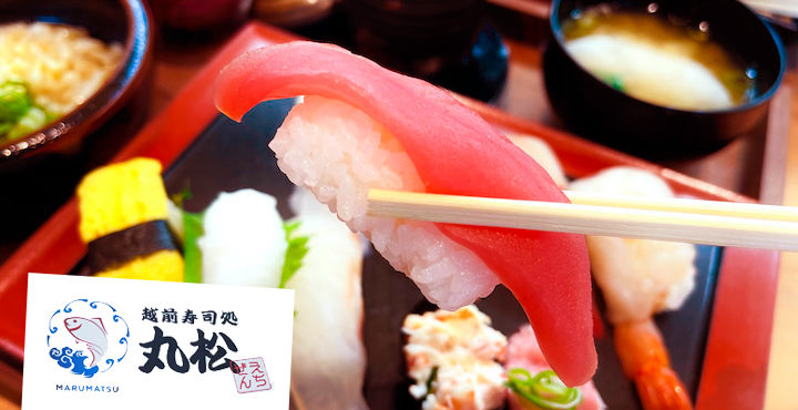 獲れたての魚で寿司を堪能!越前寿司処 丸松(まるまつ)