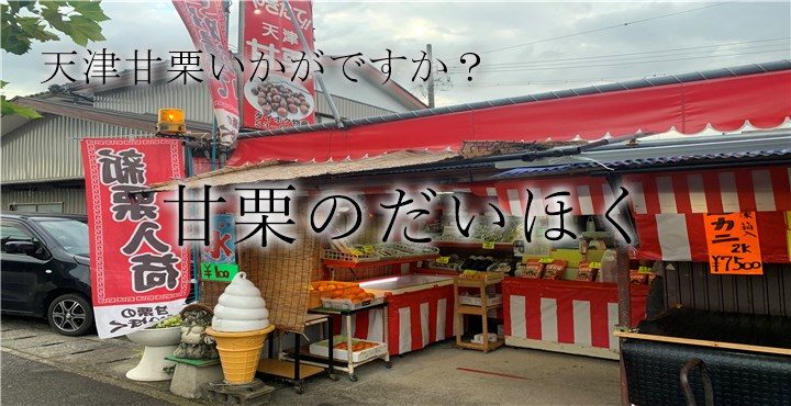 新栗入荷しました！甘栗のだいほく