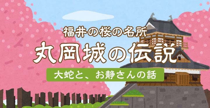 福井の桜の名所・丸岡城の伝説を知っていますか？大蛇とお静さんの話