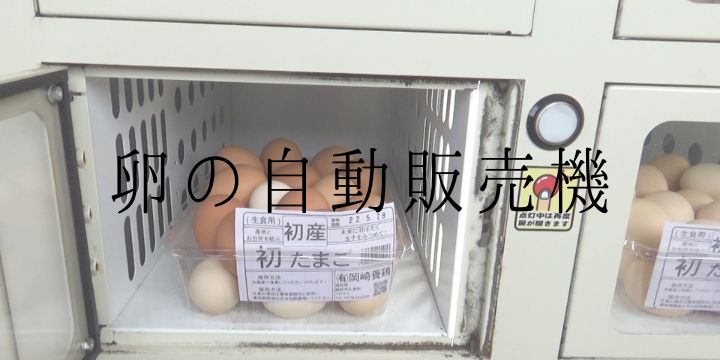 福井越前市にある岡崎養鶏の生みたて卵自動販売機