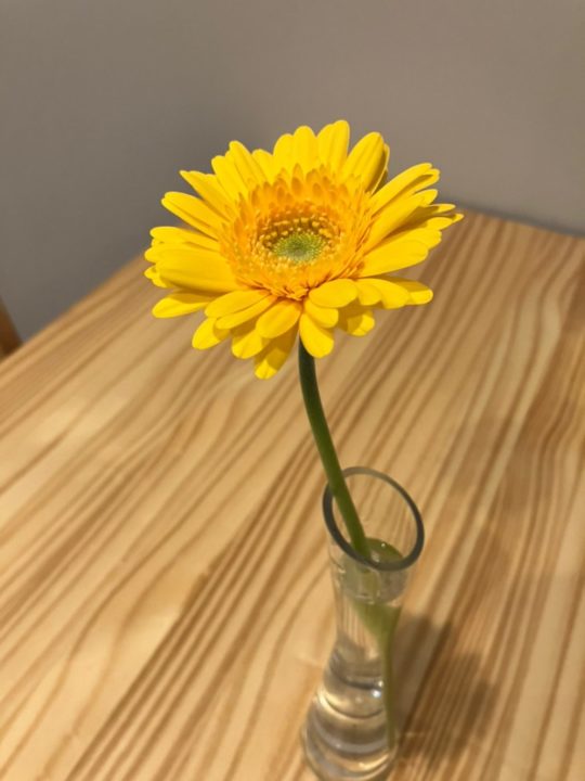 flower on a table