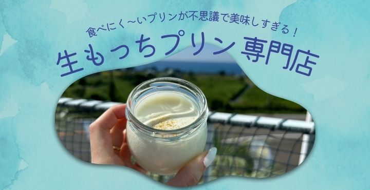 食べにく〜いプリンが不思議で美味しすぎる！「生もっちプリン専門店