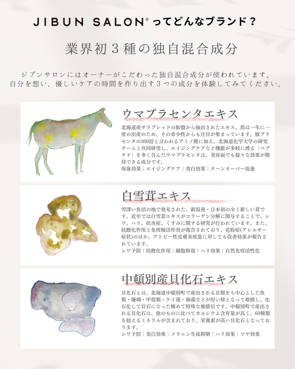 JIBUNSALONの特徴