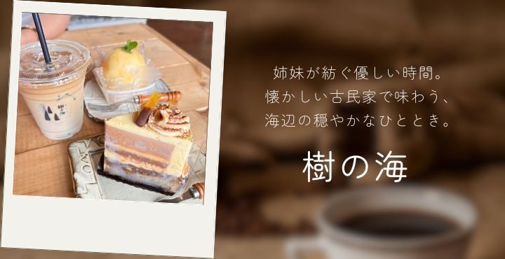 姉妹が紡ぐ優しい時間。懐かしい古民家で味わう、海辺の穏やかなひととき。「樹の海」
