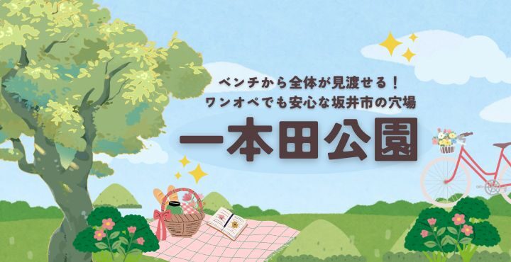 ベンチから全体が見渡せる！ワンオペでも安心な坂井市の穴場『一本田公園』