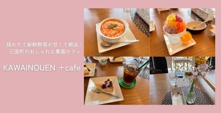 採れたて新鮮野菜が甘くて絶品！三国町のおしゃれな農園カフェ『KAWAINOUEN +cafe』