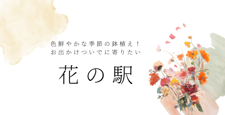 色鮮やかな季節の鉢植え！お出かけついでに寄りたい『花の駅』